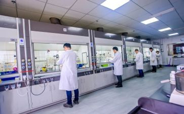 煤化验的工作总结最新6篇