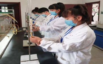 化验工作总结个人范文6篇