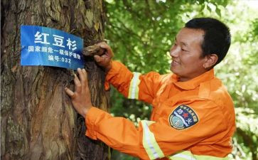 护林员月工作总结推荐7篇