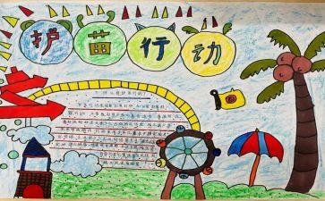 护苗在行动心得体会7篇