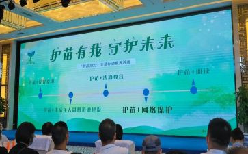 2024年护苗在行动观后感优质6篇