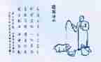 保护生命的演讲稿6篇