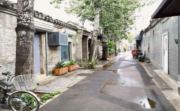 将军胡同的读后感参考6篇