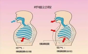 呼吸内科的工作总结范文5篇