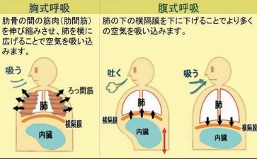 呼吸内科护士述职报告5篇