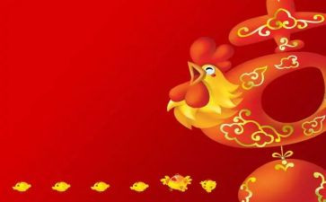 煎鸡蛋的作文600字5篇