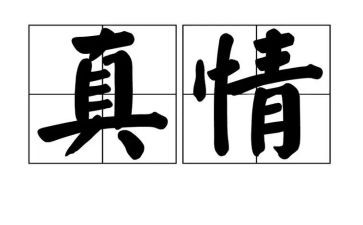 关于写真情的作文模板7篇