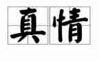 关于写真情的作文模板7篇