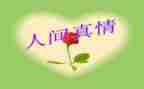 有关真情的作文8篇