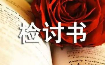 公司检讨书模板6篇