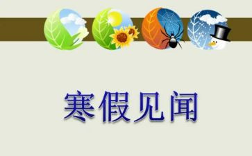2024年见闻作文通用7篇