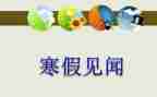 2024年见闻作文通用7篇