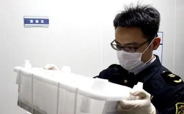 2024年动物检疫员工作总结5篇