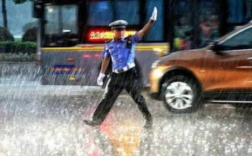 交警年终总结个人总结7篇