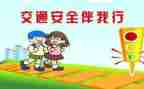 交通罪与罚的心得体会优质5篇