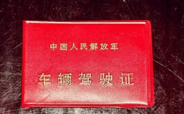 拿驾照心得体会7篇
