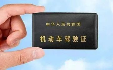 学驾照的心得体会800通用6篇