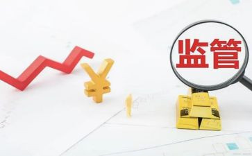2024年稽查员工作月总结6篇
