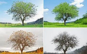 收获的季节作文6篇