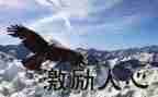 激励班演讲稿通用8篇