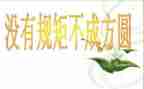 严纪律强心得体会8篇