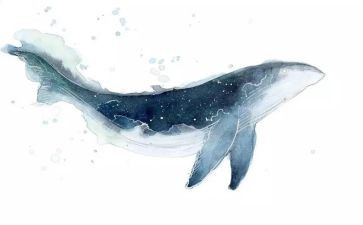 描写鲸的作文400字作文模板6篇