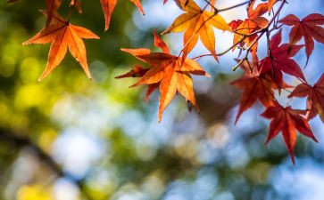 读水浒传景阳冈读后感6篇