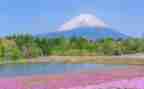 写景作文雪400字作文最新8篇