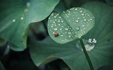 小满节气的作文6篇