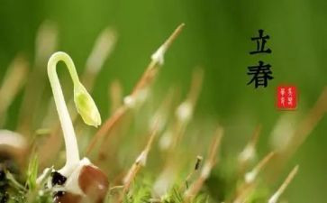 24节气的活动方案6篇