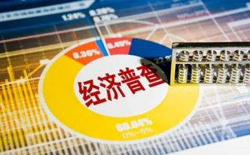 市三经普工作总结5篇