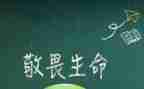 《敬畏自然》教案7篇