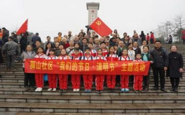 祭扫活动总结优质7篇