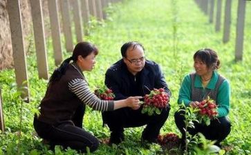 安全技术部工作总结5篇