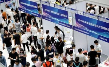 大学生就业情况的调查报告6篇