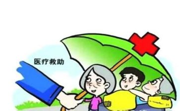 救助站工作个人总结5篇