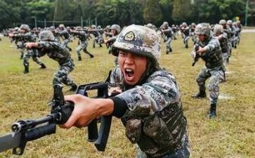 出到集训对心得体会5篇