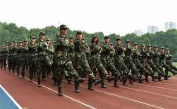 实习军训的心得体会8篇