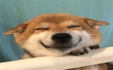 真开心500字作文精选5篇