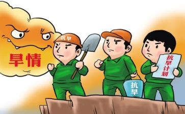 防汛抗旱半年工作总结7篇