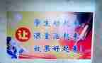 新课改培训的心得体会8篇