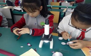 小学科学课培训心得5篇