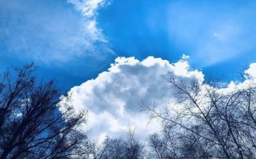 空气炮教案优秀8篇