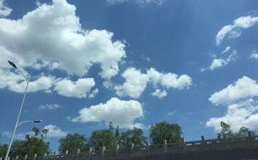 找空气的教案5篇