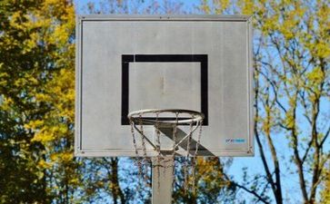 篮球的作文优质7篇