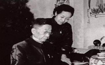 读老舍我的母亲读后感8篇