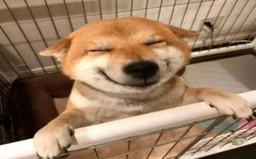 音乐教师课心得体会优秀7篇