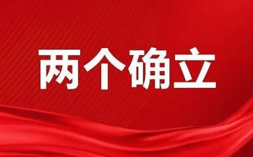 2023两个确立心得体会7篇