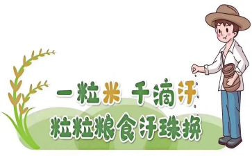粮食节约的演讲稿5篇