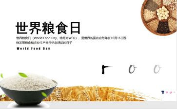 粮食节约活动方案5篇
